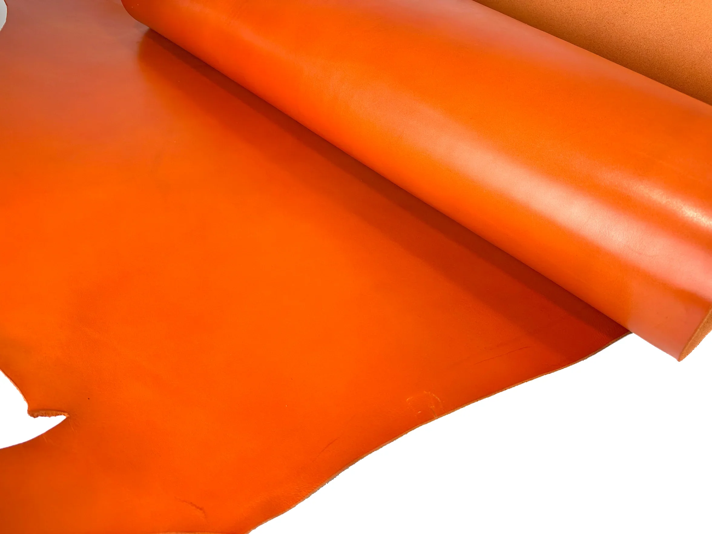 Thumbnail 14